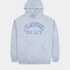 Pleasures Big L Flamboyant Hoody (Grey) -Venum Shop P22F067 01