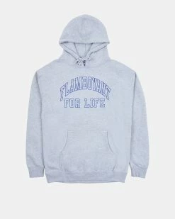 Pleasures Big L Flamboyant Hoody (Grey)