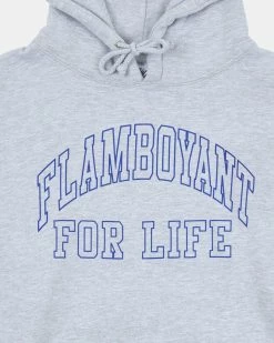 Pleasures Big L Flamboyant Hoody (Grey) -Venum Shop P22F067 02