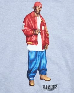 Pleasures Big L Flamboyant Hoody (Grey) -Venum Shop P22F067 05